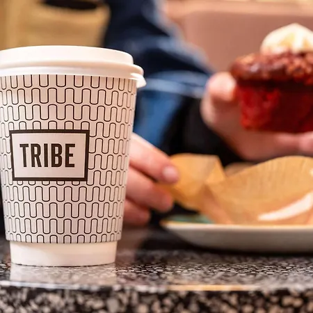Tribe Dusseldorf